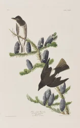Illustration de 