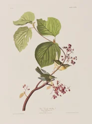 Illustration de 