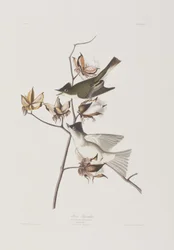 Illustration de 