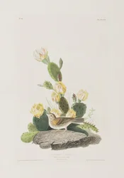 Illustration de 