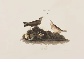 Illustration de 