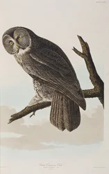Illustration de 
