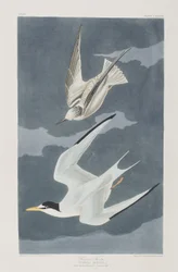 Illustration de 