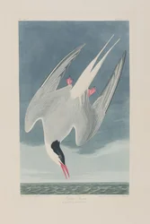 Illustration de 