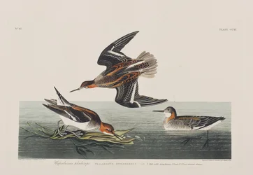 Illustration de 