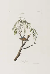 Illustration de 