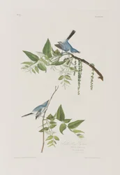 Illustration de 