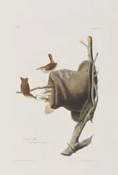 Illustration de 