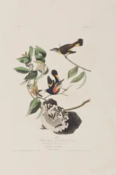 Illustration de 