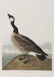 Illustration de 