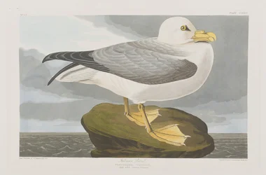 Illustration de 