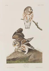 Illustration de 