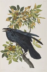 Illustration de 