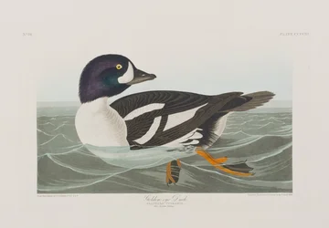 Illustration de 