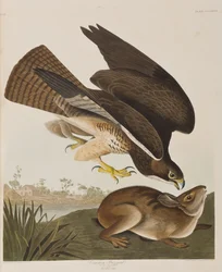 Illustration de 