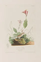 Illustration de 