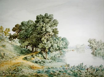 Postwick Grove sur la rivière Yare