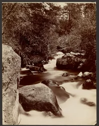Boulder Creek, plateau de l