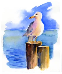 Mouette sur le quai