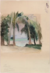 Palmiers au bord de la mer