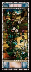Roses trémières