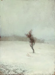 Tempête de neige 1865
