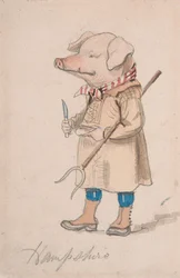 Caricature du comté de Hampshire