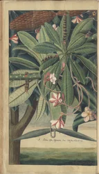 Une page des 