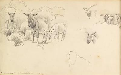 Ânes, 1824