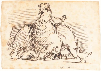 Poules et poussins