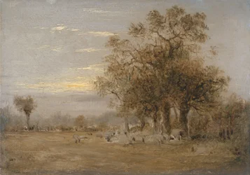 Moutons broutant