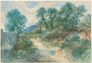 Un chemin de campagne