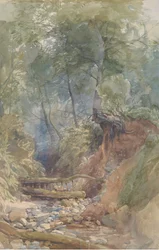 Un ruisseau près de Clovelly, North Devon, 1850