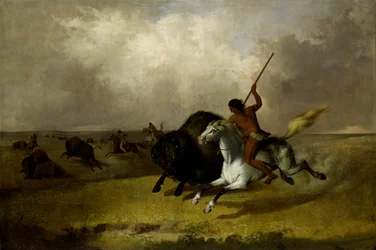 Chasse au bison dans les prairies du sud-ouest