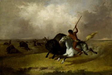 Chasse au bison dans les prairies du sud-ouest