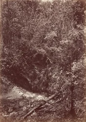 Darien Expedition,1871 (photo)