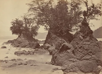 Îles, baie de Limon, 1871 (photo)