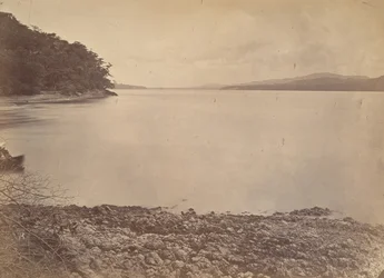Paysage tropical, port de Darien - Vue vers le sud, 1871
