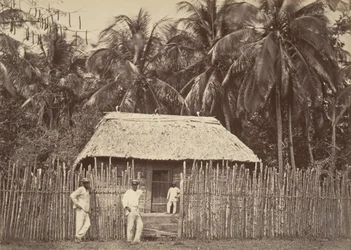 Paysage tropical, hutte indigène, Turbo