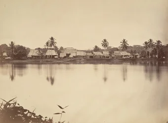 Paysage tropical, Santa Maria del Real, Darien, 1871