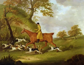 Chasseur et chiens