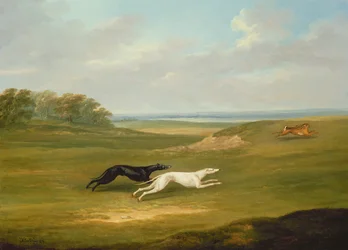 Course, une scène de chasse