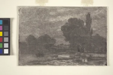 Paysage marécageux
