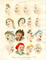 Signes extérieurs des passions de Le Brun