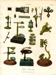 Microscopes simples du début du 19e siècle
