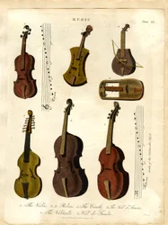 Instruments à cordes de la musique classique