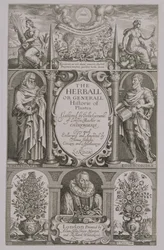 Page de titre de la deuxième édition de The Herball par John Gerard (1564-1612) 1633