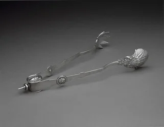 Pinces à glace