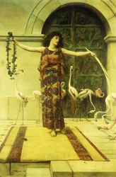 Danse des Flamants, 1885