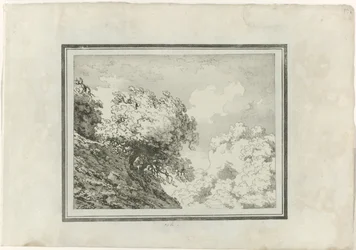 Chêne